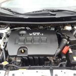 Resized_20250305_171953_6738