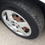 Resized_20250305_172005_7326